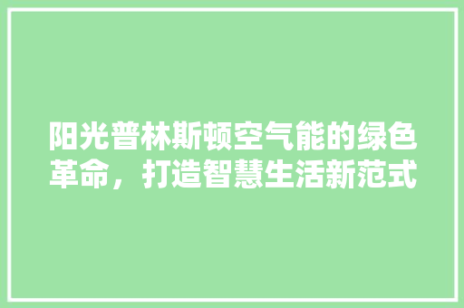 阳光普林斯顿空气能的绿色革命，打造智慧生活新范式 贴膜