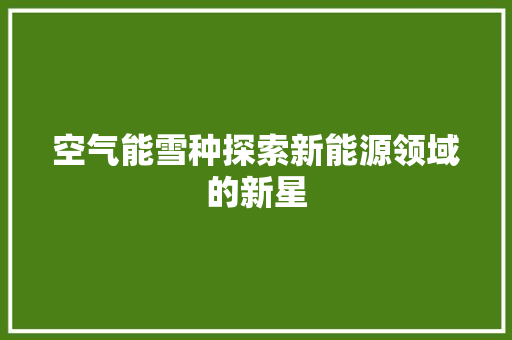 空气能雪种探索新能源领域的新星 局部翻新