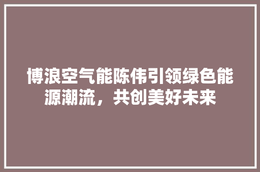 博浪空气能陈伟引领绿色能源潮流，共创美好未来 局部翻新