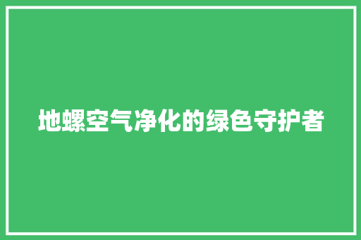 地螺空气净化的绿色守护者 热水器