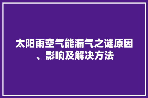 太阳雨空气能漏气之谜原因、影响及解决方法 洗衣机