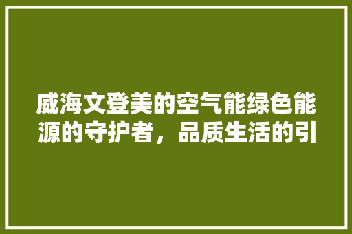 威海文登美的空气能绿色能源的守护者，品质生活的引领者 翻新改色