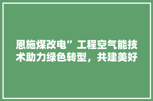 恩施煤改电”工程空气能技术助力绿色转型，共建美好家园 洗衣机