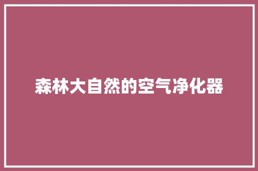 森林大自然的空气净化器 灯具安装
