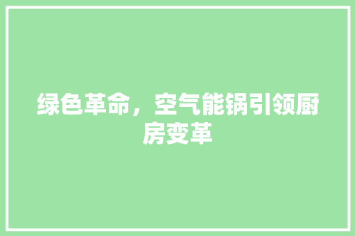 绿色革命，空气能锅引领厨房变革 热水器