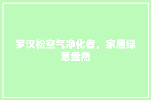 罗汉松空气净化者，家居绿意盎然 洗衣机