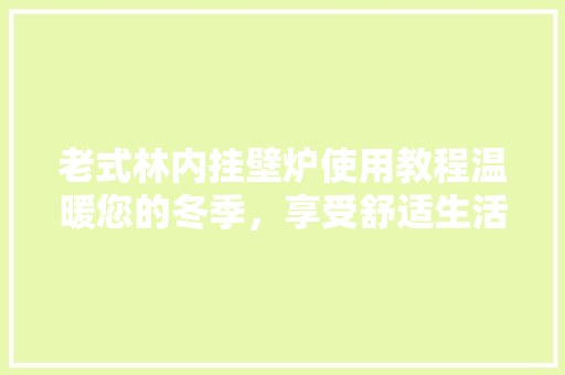 老式林内挂壁炉使用教程温暖您的冬季，享受舒适生活 家电维护