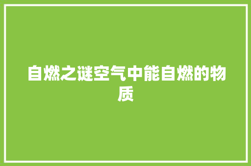自燃之谜空气中能自燃的物质 局部翻新