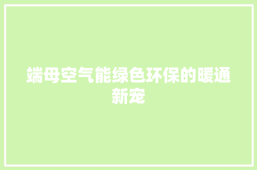 端母空气能绿色环保的暖通新宠 家居维修