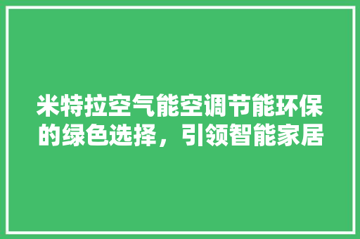 米特拉空气能空调节能环保的绿色选择，引领智能家居新时代 灯具安装