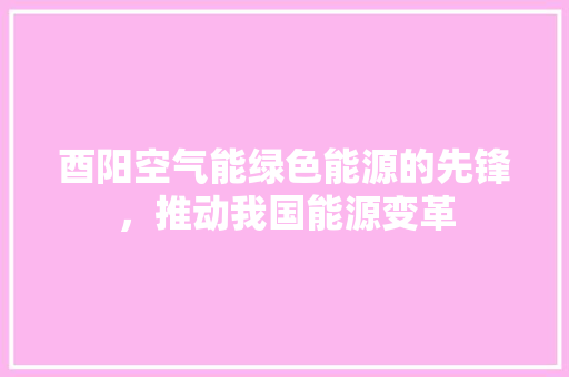 酉阳空气能绿色能源的先锋，推动我国能源变革 洗衣机