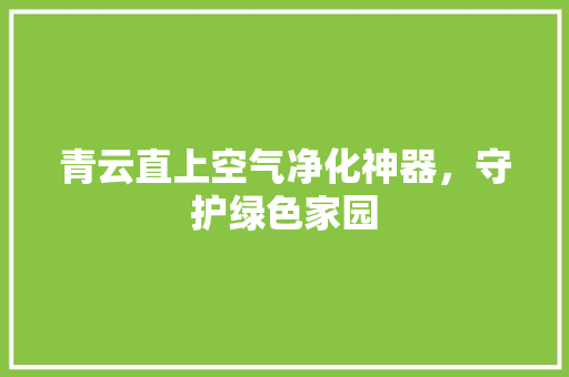青云直上空气净化神器，守护绿色家园 装修设计