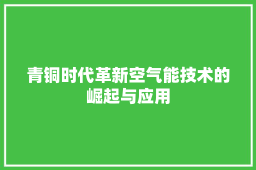 青铜时代革新空气能技术的崛起与应用 水电维修