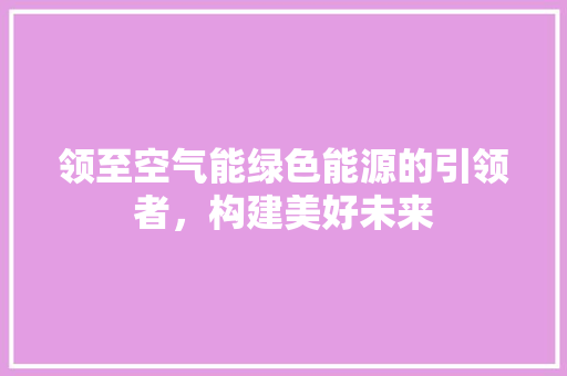 领至空气能绿色能源的引领者，构建美好未来 洗衣机