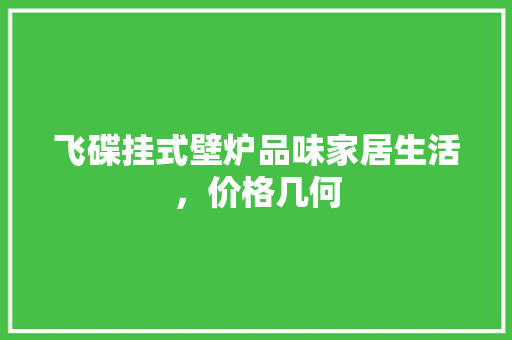 飞碟挂式壁炉品味家居生活，价格几何 家居维修