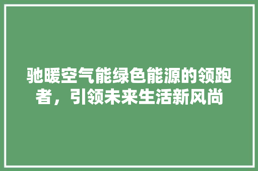 驰暖空气能绿色能源的领跑者，引领未来生活新风尚 清洁保养
