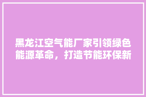 黑龙江空气能厂家引领绿色能源革命，打造节能环保新未来 洗衣机
