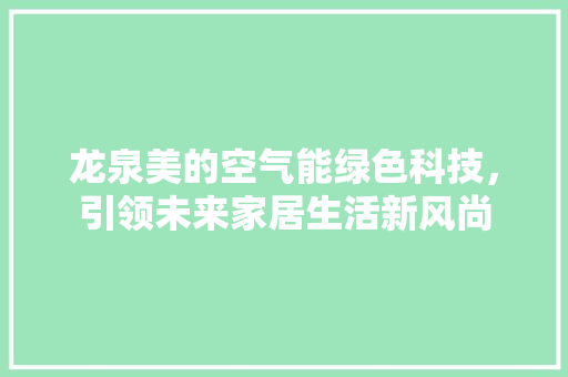 龙泉美的空气能绿色科技，引领未来家居生活新风尚 清洁保养