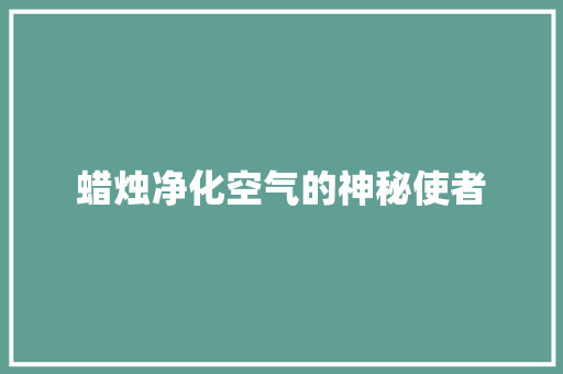 蜡烛净化空气的神秘使者 局部翻新