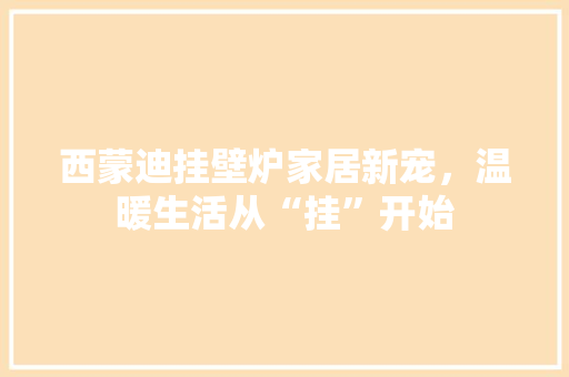 西蒙迪挂壁炉家居新宠，温暖生活从“挂”开始 洗衣机