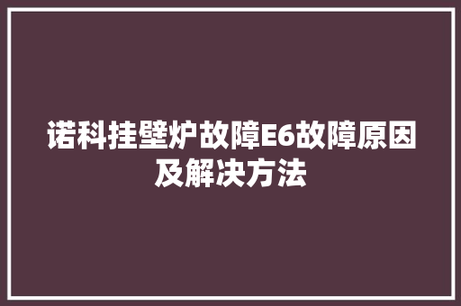 诺科挂壁炉故障E6故障原因及解决方法 清洁保养