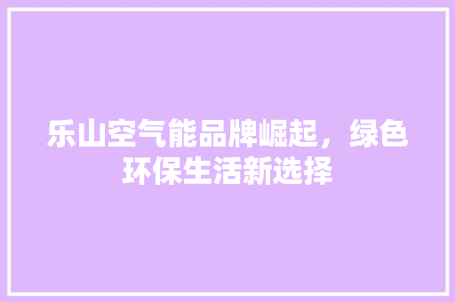 乐山空气能品牌崛起，绿色环保生活新选择 冰箱