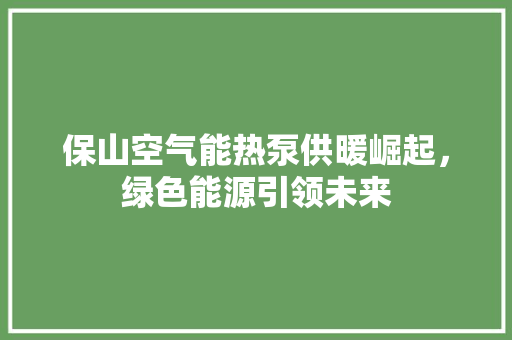 保山空气能热泵供暖崛起，绿色能源引领未来 冰箱