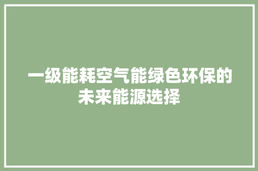 一级能耗空气能绿色环保的未来能源选择 洁具维修