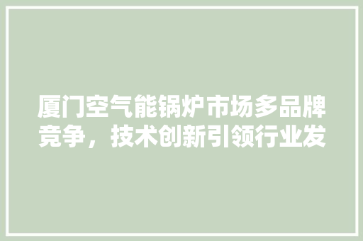 厦门空气能锅炉市场多品牌竞争，技术创新引领行业发展 水电维修