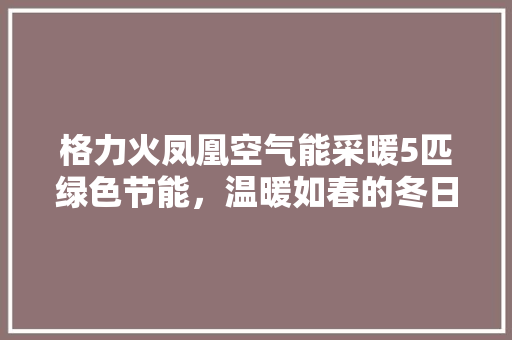 格力火凤凰空气能采暖5匹绿色节能，温暖如春的冬日守护者 龙头管件