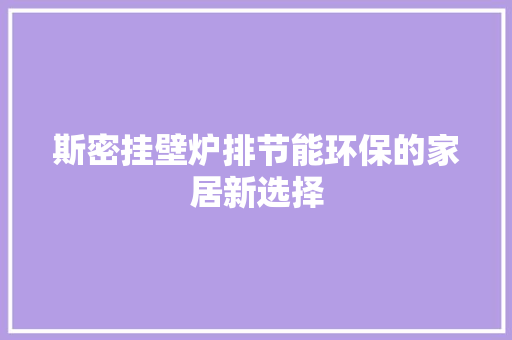斯密挂壁炉排节能环保的家居新选择 局部翻新