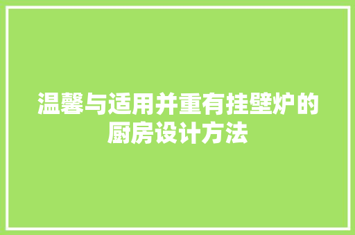 温馨与适用并重有挂壁炉的厨房设计方法 翻新改色