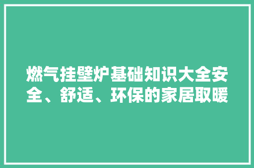 燃气挂壁炉基础知识大全安全、舒适、环保的家居取暖新选择 洁具维修 燃气挂壁炉基础知识大全安全、舒适、环保的家居取暖新选择 洁具维修
