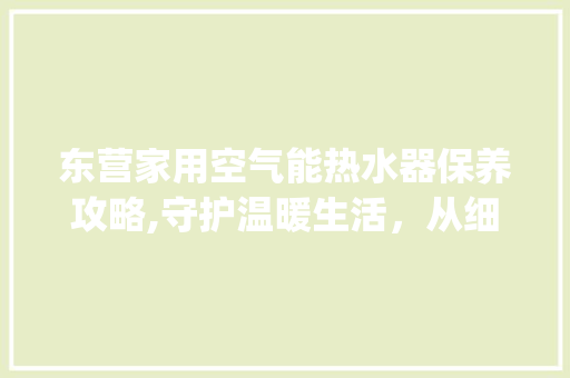 东营家用空气能热水器保养攻略,守护温暖生活，从细节做起_东营家用空气能热水器保养 东营家用空气能热水器保养攻略,守护温暖生活，从细节做起_东营家用空气能热水器保养 洗衣机