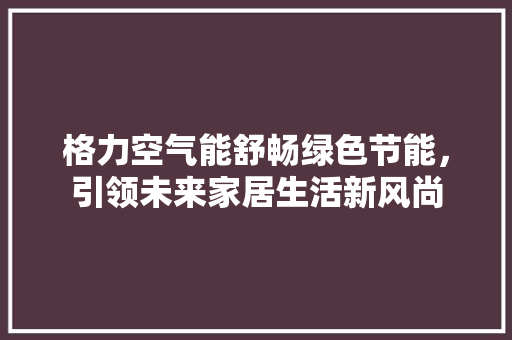格力空气能舒畅绿色节能，引领未来家居生活新风尚 家居维修