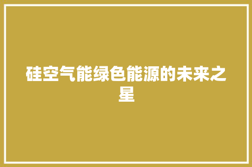 硅空气能绿色能源的未来之星 洗衣机